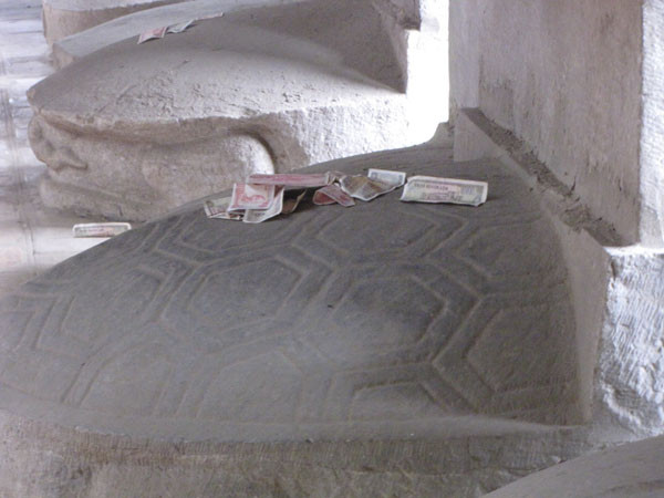 ... hoặc đặt tiền lên mình rùa lấy may. Ảnh: Trường Phong