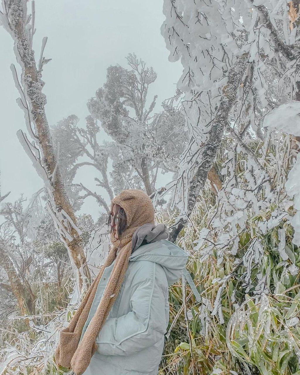 Nữ du khách đi bộ nhiều km để check-in giữa khung cảnh trắng xóa. Ảnh: Nqoc_law.