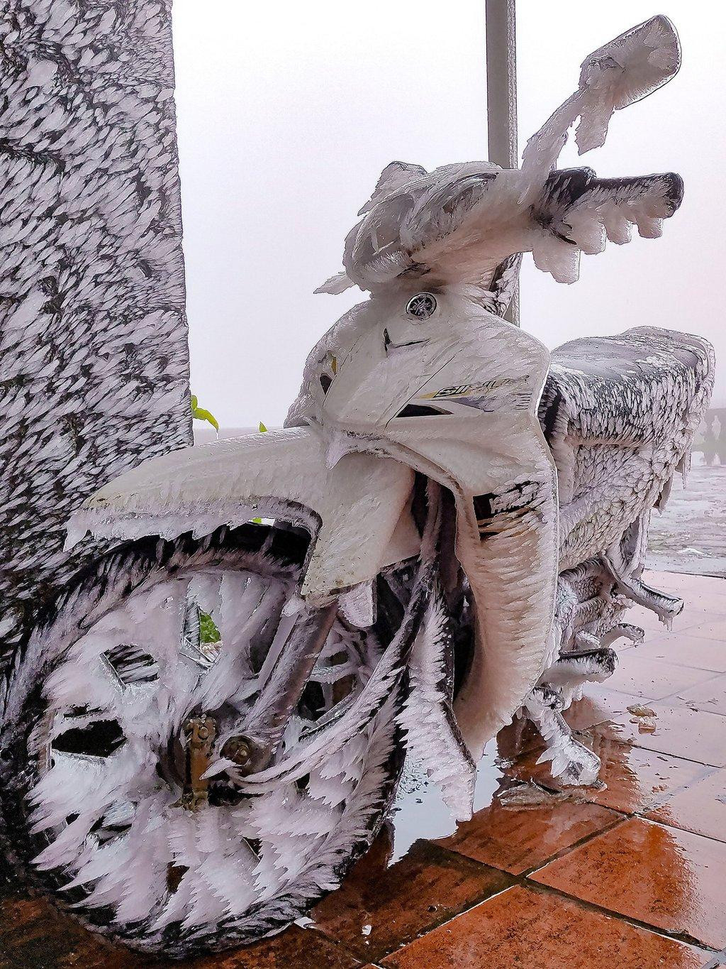 Lớp băng trong suốt phủ cây cối trên đỉnh Mẫu Sơn. Ảnh: Lý Quang Vinh.