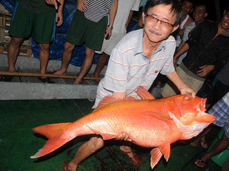 Ông Quý với con cá lượng nặng khoảng 20kg câu được trong chuyến đi Trường Sa cuối năm 2013. Ảnh: tuấn nguyễn