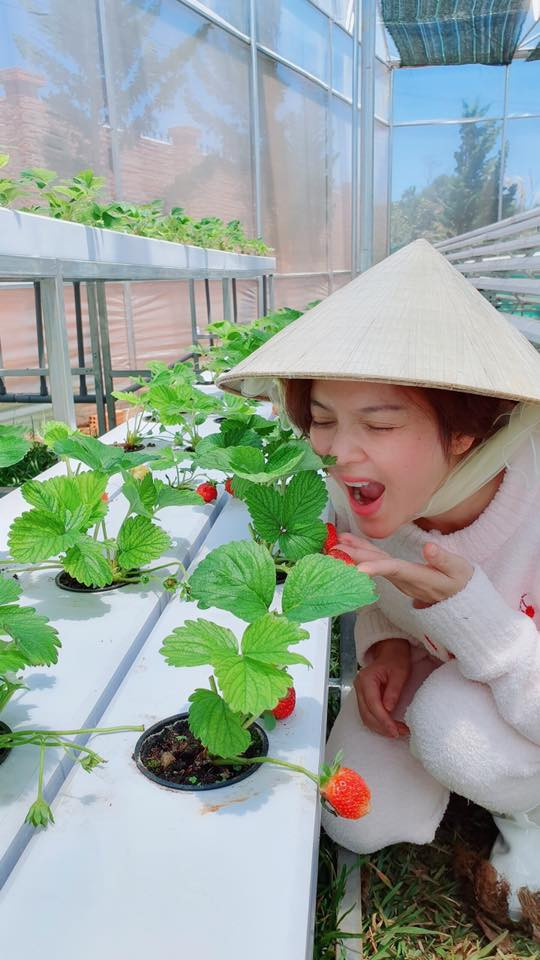 Lý Nhã Kỳ khoe vườn dâu tây, rau sạch ở Đà Lạt khiến fan ngây ngất ảnh 3