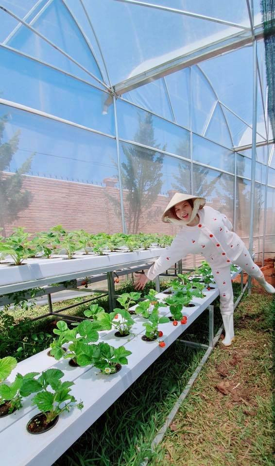 Lý Nhã Kỳ khoe vườn dâu tây, rau sạch ở Đà Lạt khiến fan ngây ngất ảnh 7