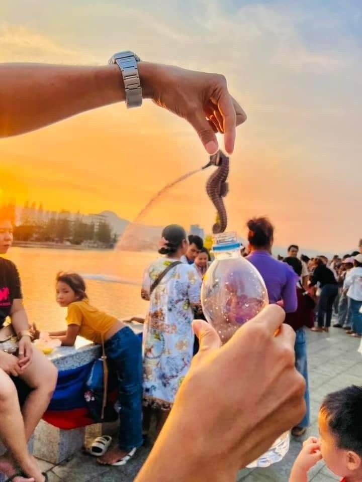 “Cho cá ngựa vào chai” cũng là kiểu dáng chụp ảnh độc đáo với đài phun nước tạo ra cảm giác như thể đang phát ra tiếng cười khi nhìn vào bức ảnh. Ảnh: Sophea Tonsay.