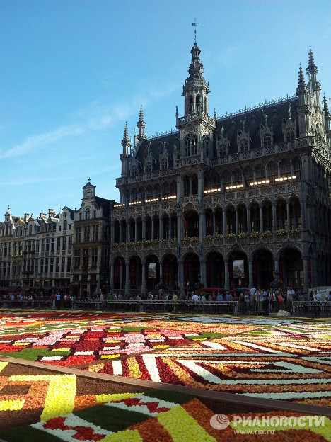 Tấm thảm hoa hải đường có màu sắc đa dạng