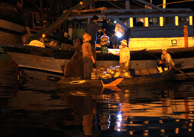 Hàng chục phụ nữ lại chọn nghề chèo ghe nhỏ để chở thương lái ra tận các thuyền neo ngoài xa để mua cá. Bình quân họ thu nhập 100.000 đồng/ngày