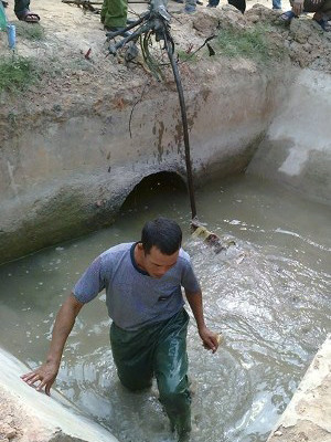 Cơ quan chức năng tìm thấy một cành bàng và ngọn tre, rất có thể đây là phương tiện gây án của các đối tượng