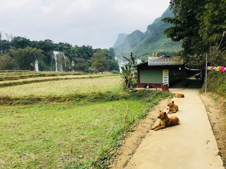 Thác Bản Giốc ngày cuối năm ảnh 2