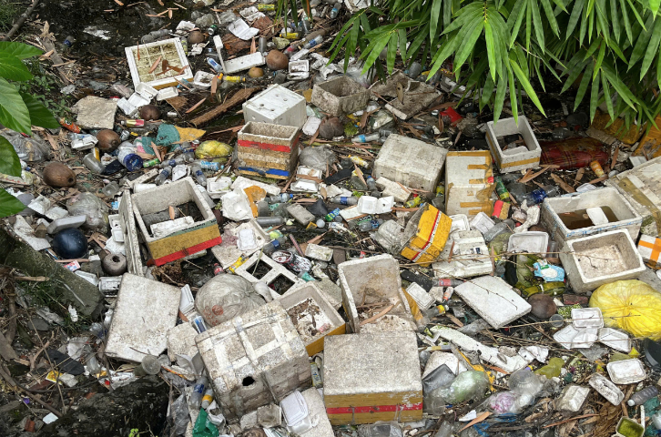 Một lượng lớn rác thải nhựa là hộp xốp dùng một lần để đựng đồ ăn mang đi.