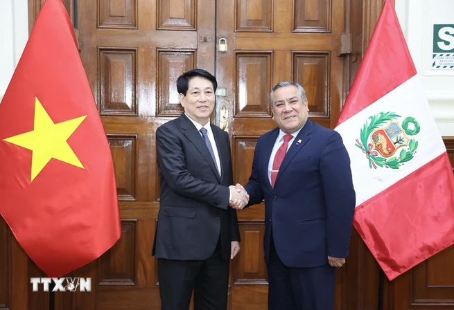 Chủ tịch nước Lương Cường hội kiến Chủ tịch Hội đồng Bộ trưởng Peru Gustavo Adrian Adrianzén. (Ảnh: Lâm Khánh/TTXVN)