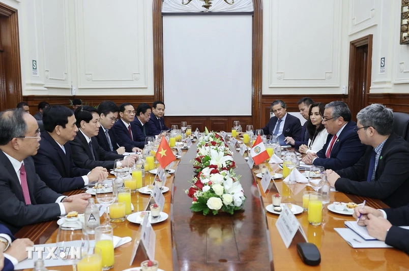 Chủ tịch nước Lương Cường hội kiến Chủ tịch Hội đồng Bộ trưởng Peru Gustavo Adrian Adrianzén. (Ảnh: Lâm Khánh/TTXVN)