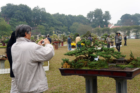 Hiện tại triển lãm chưa mất vé vào tham quan