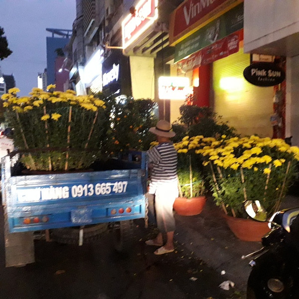 Hoa Tết bán “xổ” tối 30 Tết ảnh 2