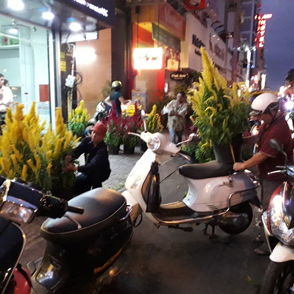 Hoa Tết bán “xổ” tối 30 Tết ảnh 3