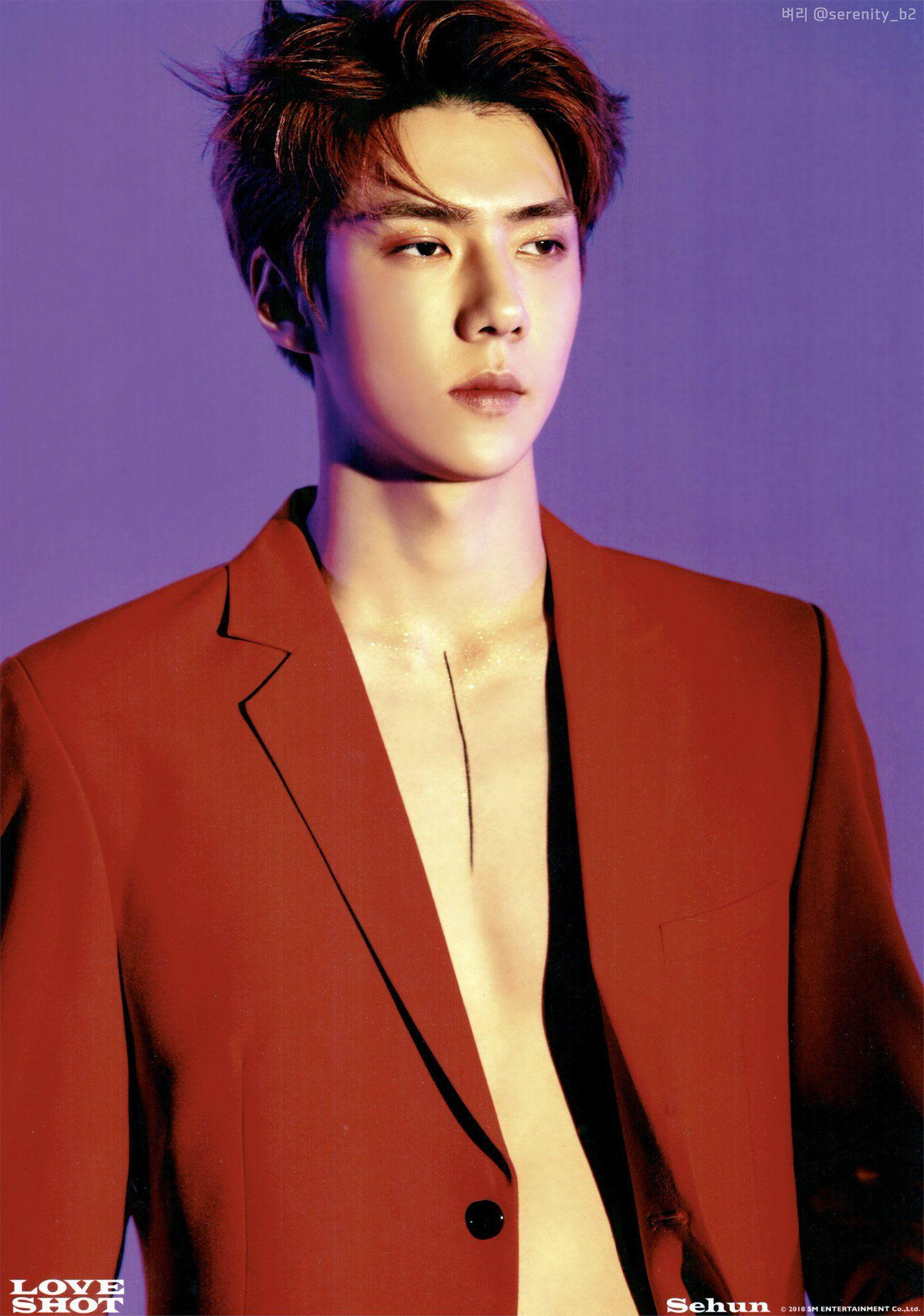 Đồng hạng 6 là Se Hun (EXO). Khác với Jin, ngôi sao "Busted" cuốn hút bởi vẻ đẹp hơi Tây. Nhiều người từng nhầm lẫn nam idol là con lai.