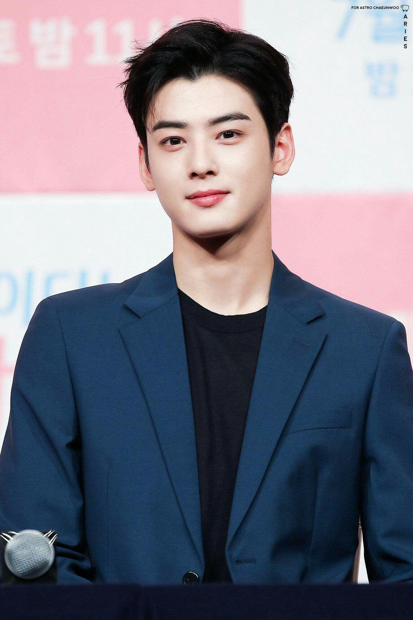 Cha Eun Woo (ASTRO) nổi tiếng với biệt danh "thiên tài gương mặt" ngay từ khi mới ra mắt. Một chuyên gia thẩm mỹ nhận xét: "Cậu ấy không có khiếm khuyết nào. Mọi thứ đều hoàn hảo". Dân mạng còn đùa, nếu muốn có "việc nhẹ, lương cao" thì làm chuyên viên trang điểm cho Cha Eun Woo.