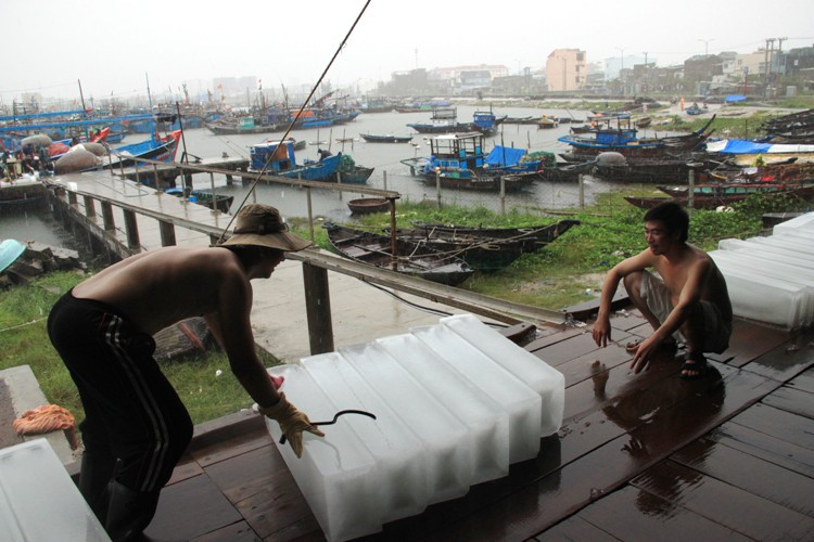 Mỗi thanh đá có giá 14.000 đồng, theo các cơ sở sản xuất đá nếu ngư dân không tranh thủ lấy đá sớm, sau bão dễ phải “xếp hàng” vì nhu cầu cao