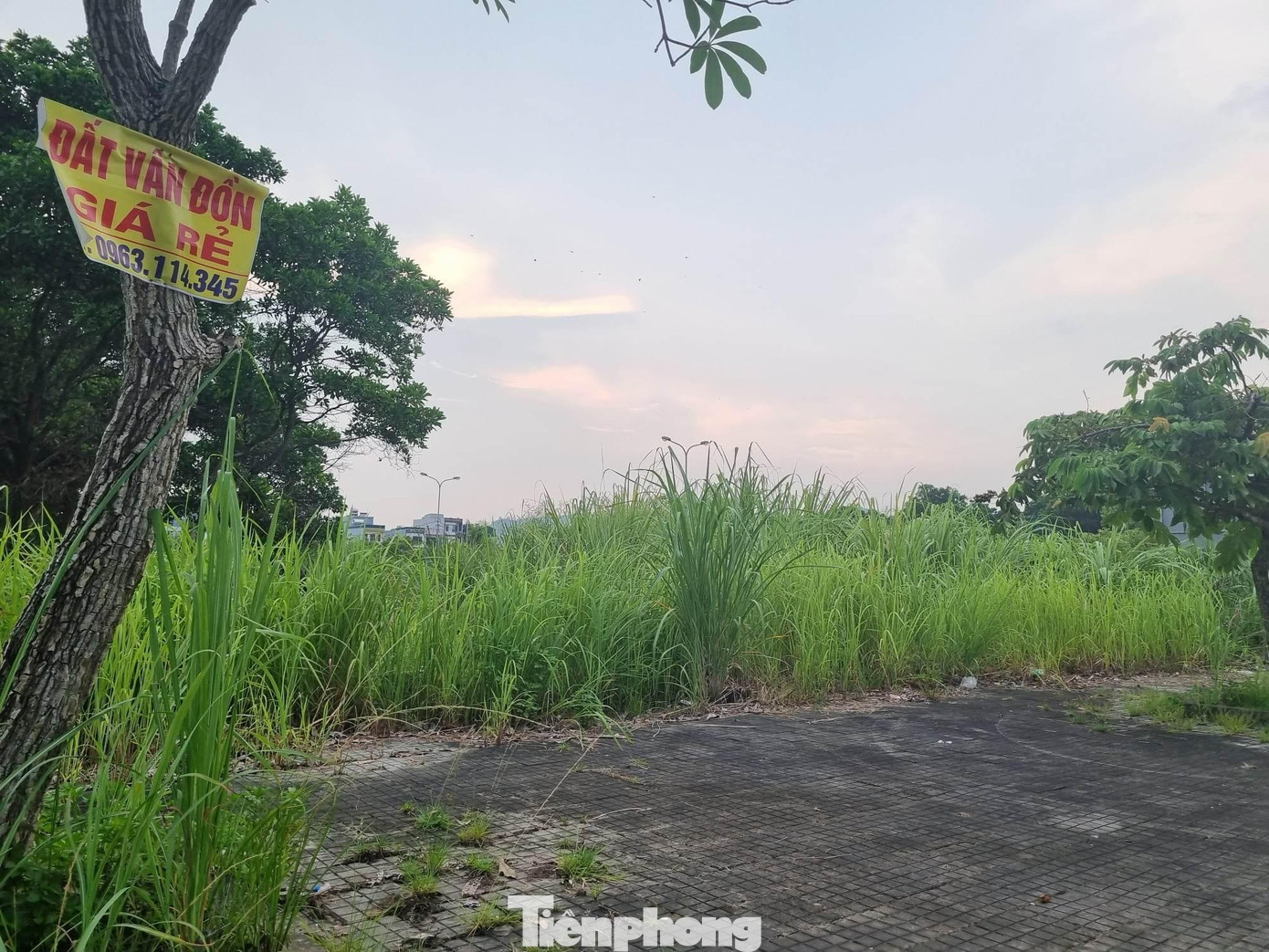 Hiện tượng bán cắt lỗ nhiều phân khúc như đất nền, liền kề, biệt thự... diễn ra trên thị trường, đặc biệt với các nhà đầu tư dùng đòn bẩy tài chính (ảnh: Ngọc Mai).