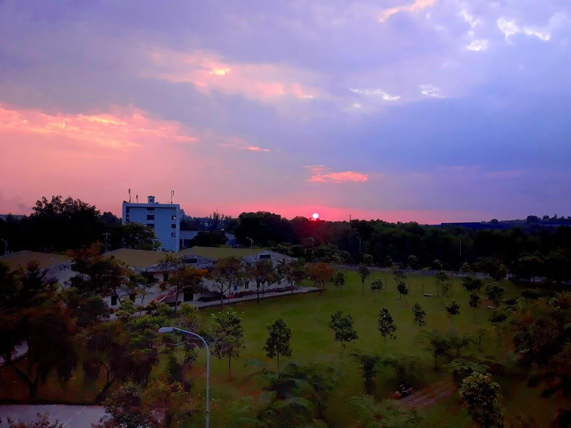 Khung cảnh trong lành tại khu quân sự của trường Đại học Mở TP.HCM.