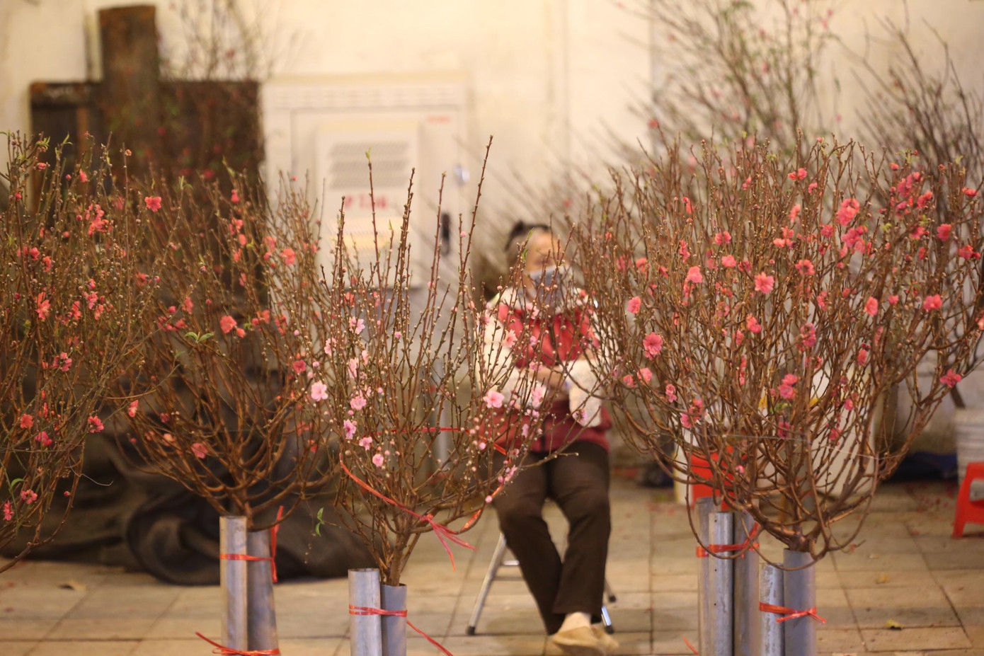 Chợ hoa Hàng Lược được tổ chức trên các tuyến phố: Hàng Lược, Hàng Khoai, Hàng Rươi, Hàng Mã... bao gồm các sản phẩm quất, đào, hoa tươi, đồ trang trí, đồ cổ, thủ công mỹ nghệ, sản phẩm truyền thống, dòng tranh dân gian... mang lại sự lựa chọn mua sắm cho người dân Hà Thành phục vụ Tết Nhâm Dần 2022. Chợ hoa Hàng Lược được tổ chức trên các tuyến phố: Hàng Lược, Hàng Khoai, Hàng Rươi, Hàng Mã... bao gồm các sản phẩm quất, đào, hoa tươi, đồ trang trí, đồ cổ, thủ công mỹ nghệ, sản phẩm truyền thống, dòng tranh dân gian... mang lại sự lựa chọn mua sắm cho người dân Hà Thành phục vụ Tết Nhâm Dần 2022.