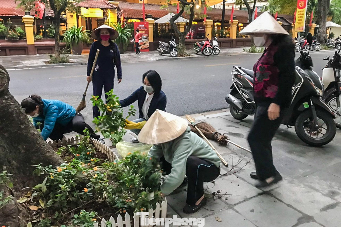 Người dân tham gia trồng cây hai bên đường.