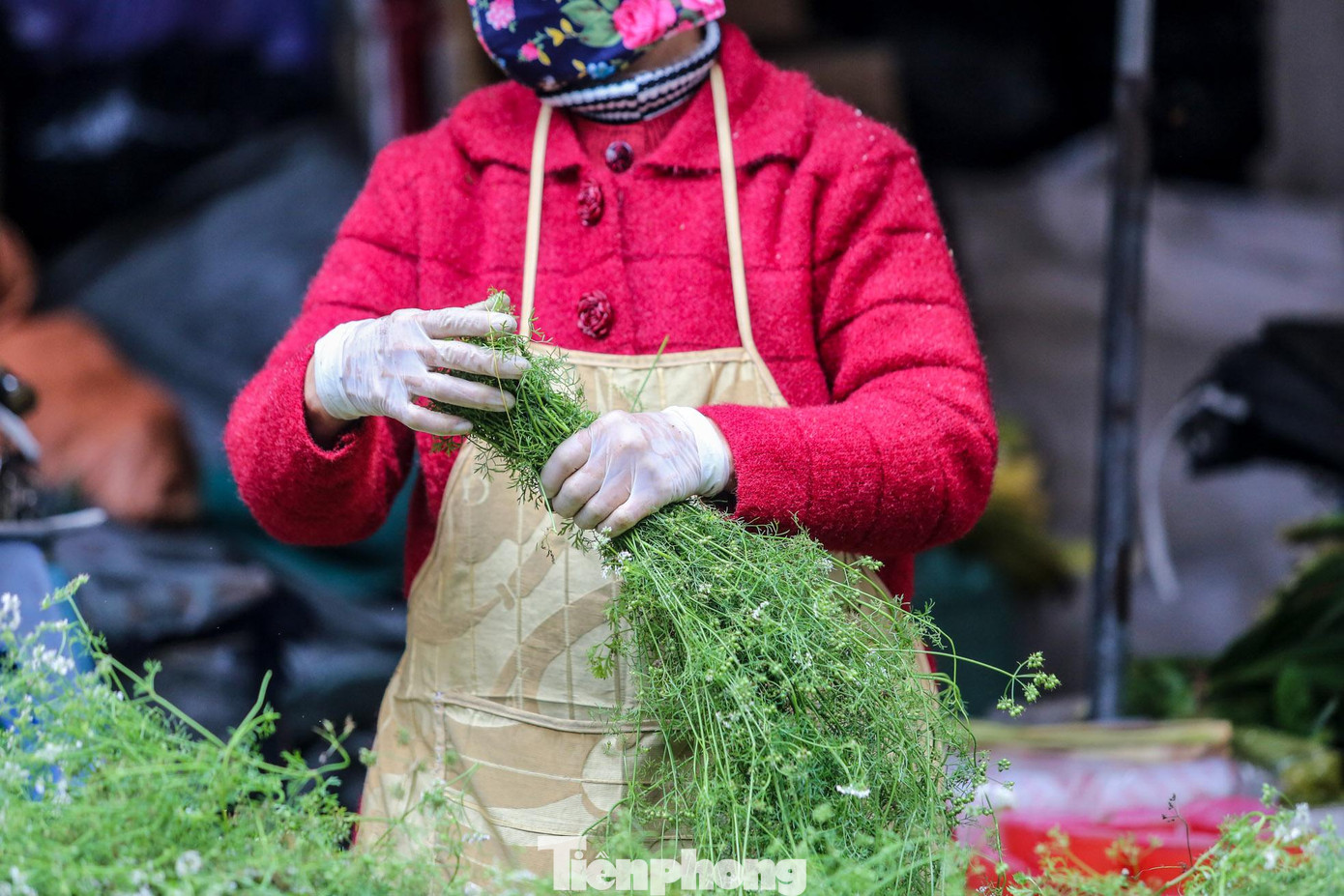 Mùi già thường được trồng ở ngoại thành và vận chuyển vào nội đô từ sáng sớm.