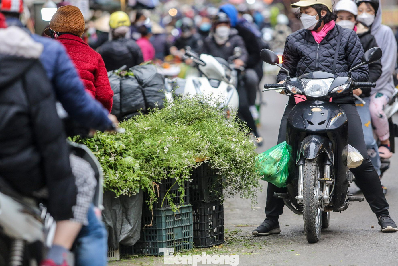 Cứ vào ngày cuối cùng của năm, nhiều người dân Hà Nội lại tới các chợ để mua lá mùi già về đun nước tắm Tất niên. Theo quan niệm dân gian, tắm nước lá mùi già trong ngày cuối năm mang ý nghĩa tẩy những điều không sạch sẽ, xua tan những chuyện không hay để đón những điều may mắn trong năm mới.