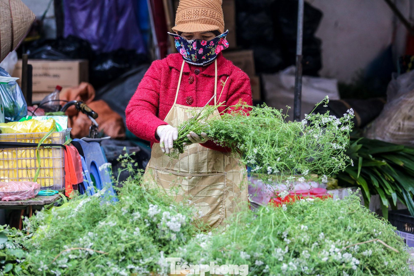 Cây mùi già mua về sẽ được rửa sạch để cả rễ, không để nát lá rồi sau đó cho vào nồi nước đun sôi sẽ tạo mùi thơm dễ chịu khi tắm.