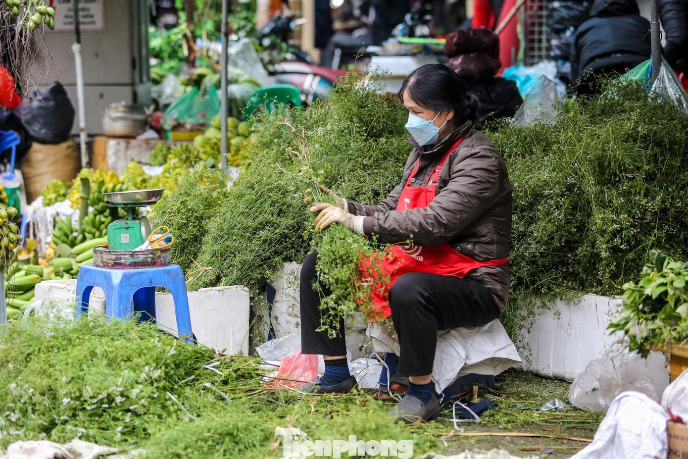 Không chỉ là một phong tục lâu đời, việc tắm bằng nước cây mùi già còn có tác dụng rất tốt về sức khỏe.