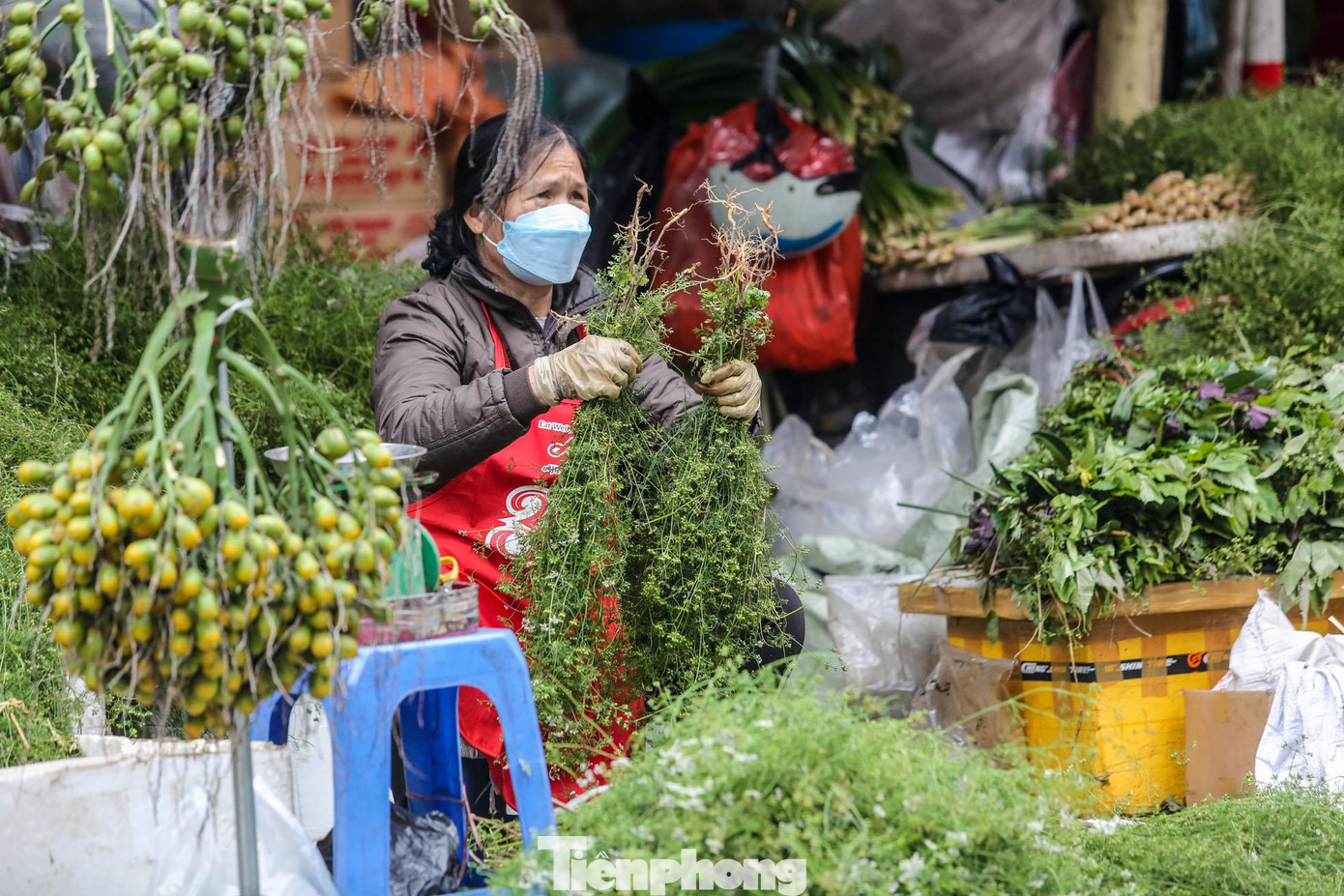 Ghi nhận trong ngày 29 Tết tại nhiều chợ, dễ dàng bắt gặp những mớ mùi già xanh ngắt. Cứ vào ngày này, nhiều người Hà thành lại tới các chợ để tìm mua lá mùi già về đun nước tắm.