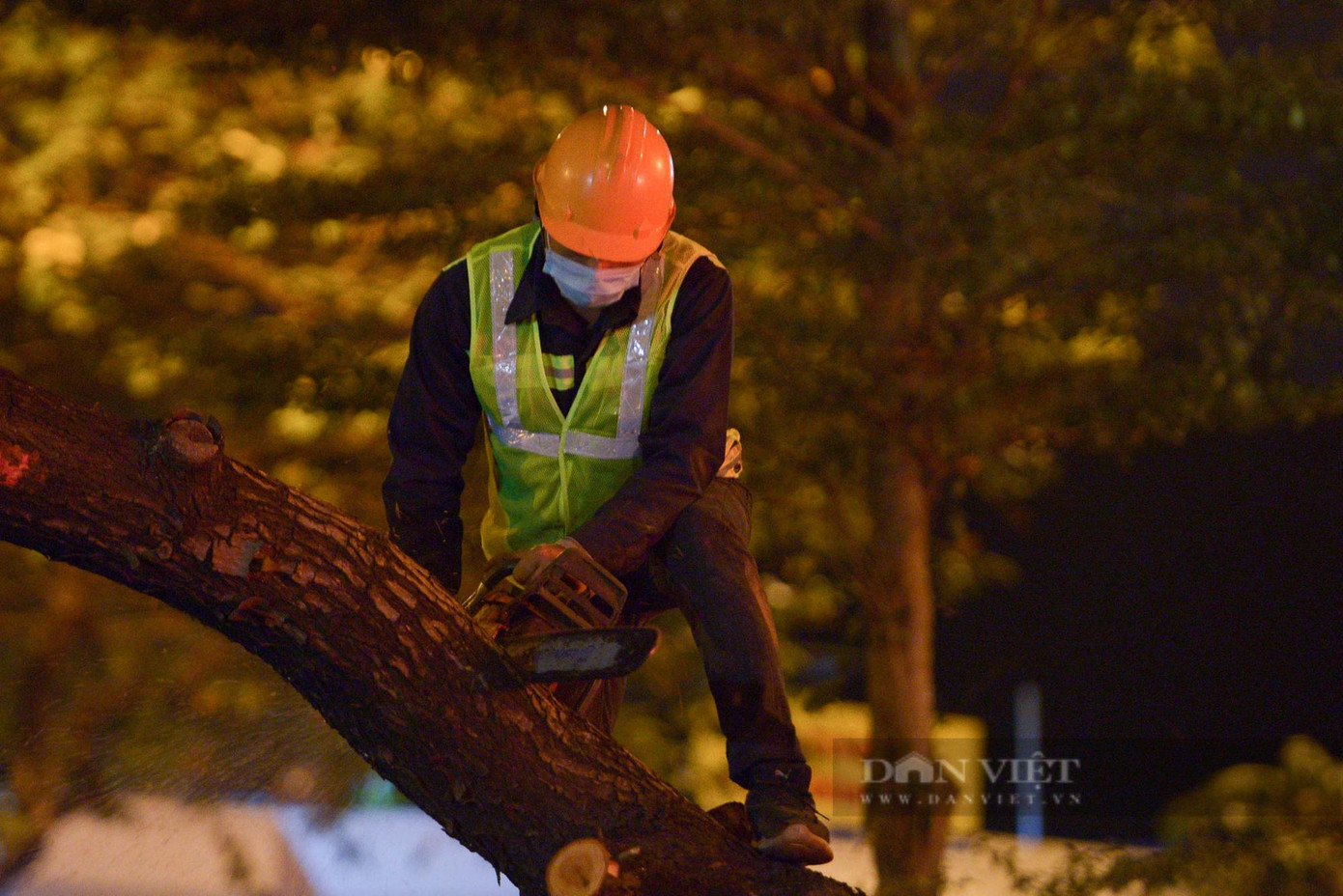 Sau khi thu hẹp dải phân cách, mặt đường xe chạy được mở rộng từ 6 làn xe lên 8 làn xe. Dự án xén dải phân cách đường Hoàng Quốc Việt sẽ hoàn thiện trong 90 ngày với tổng mức đầu tư 25,6 tỷ đồng. Sau khi thu hẹp dải phân cách, mặt đường xe chạy được mở rộng từ 6 làn xe lên 8 làn xe. Dự án xén dải phân cách đường Hoàng Quốc Việt sẽ hoàn thiện trong 90 ngày với tổng mức đầu tư 25,6 tỷ đồng.