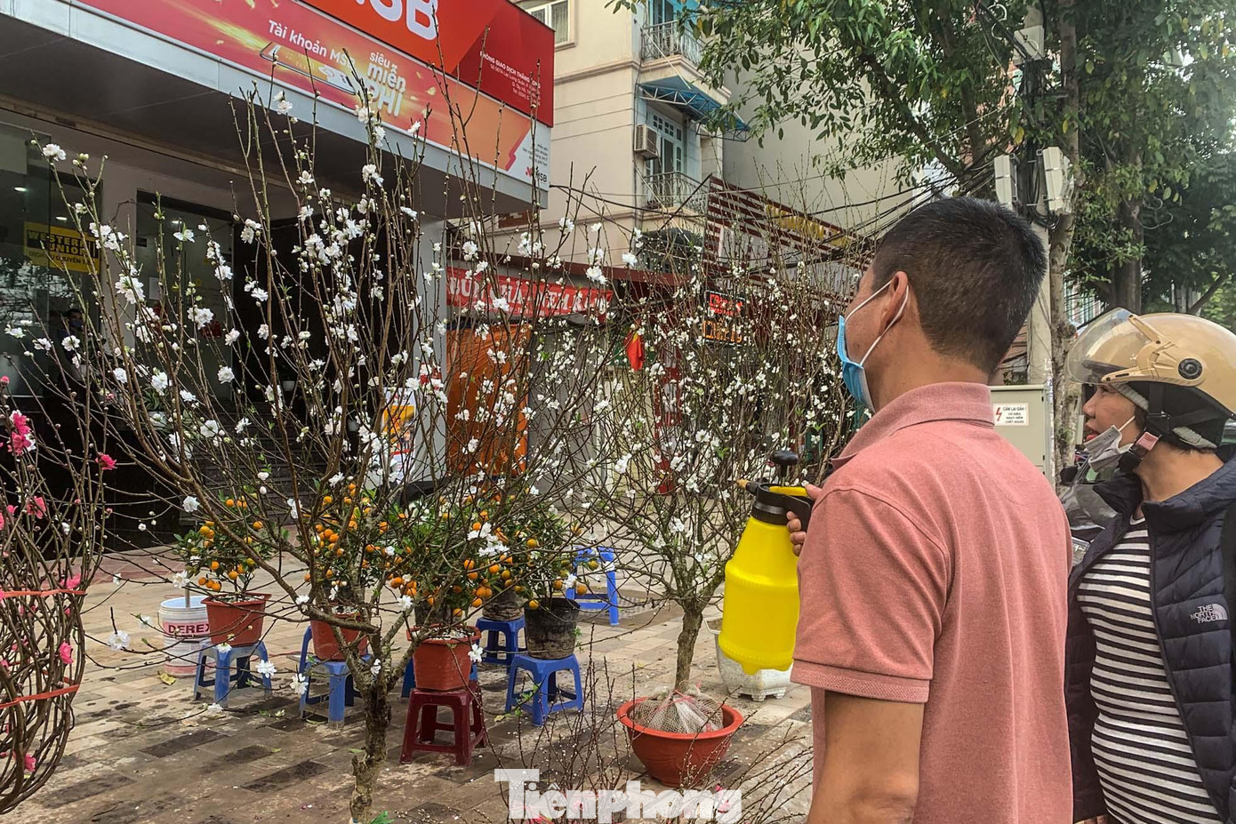 "Nhà còn đúng 3 cành đào bạch cánh trắng, 2 cành đã được khách đặt, còn 1 cánh đang chờ người mua. Rất nhiều người đi qua dừng lại hỏi bởi loài này vừa lạ vừa đẹp", một người bán hàng trên đường Lạc Long Quân cho biết.