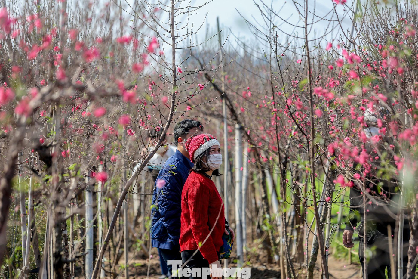 Chỉ còn khoảng 10 ngày nữa là đến Tết, người tiêu dùng tranh thủ mua sắm.