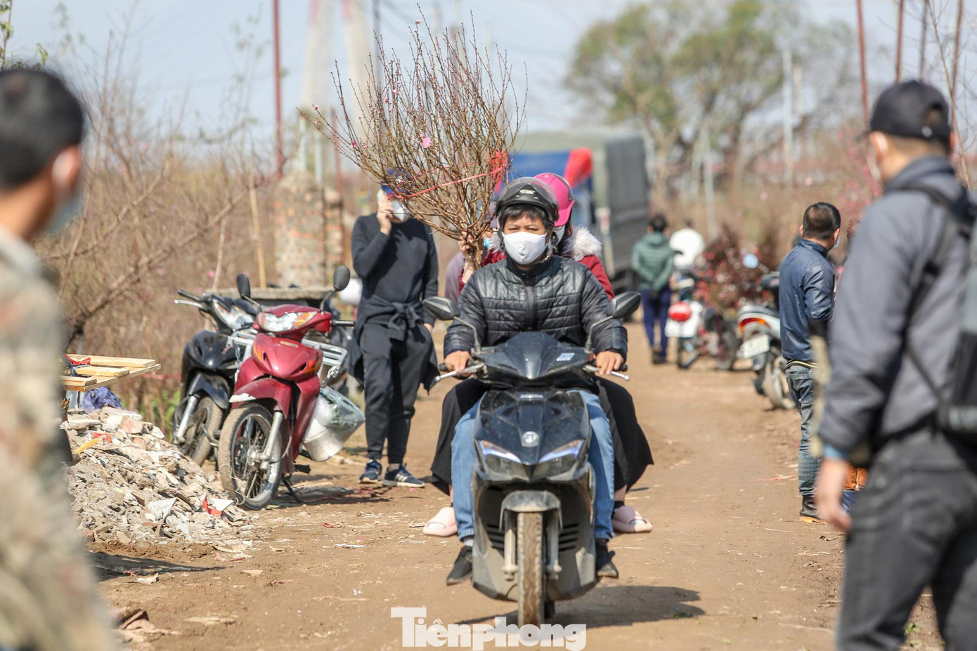 Ngoài thương lái, nhiều người dân tự đến vườn để chọn những cành đào ưng ý nhất cho Tết Nhâm Dần 2022.