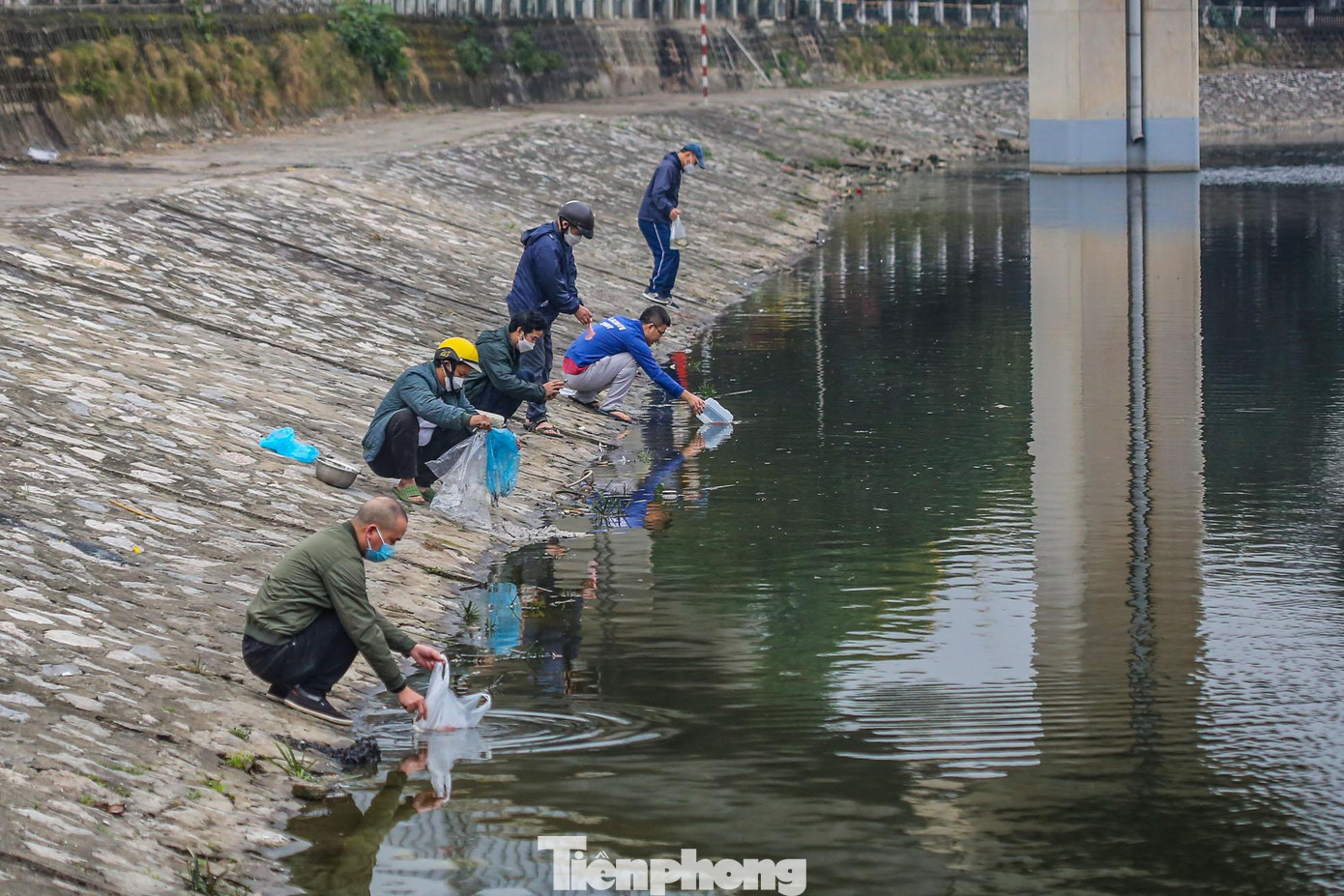 Theo tục lệ cổ truyền của người Việt Nam, hàng năm cứ đến ngày 23 tháng Chạp, Táo Quân lại cưỡi cá chép bay về trời để trình báo mọi việc xảy ra trong gia đình với Ngọc Hoàng. Vì vậy, sau khi cúng lễ, người dân Thủ đô có thói quen mang cá chép ra sông hồ thả phóng sinh.