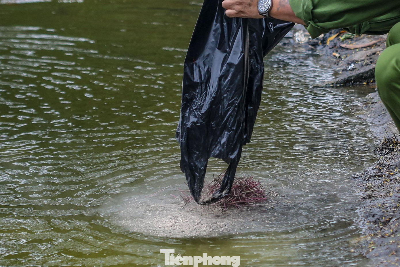 Tro và chân hương được thả thẳng xuống hồ.
