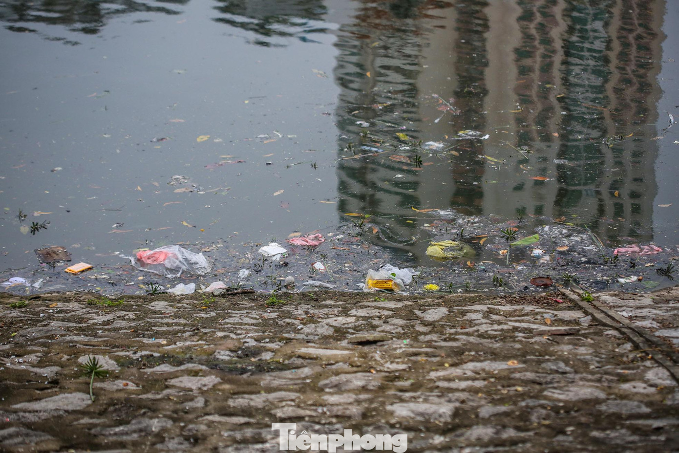 Tuy nhiên, chỉ sau vài tiếng, mặt nước hồ Hoàng Cầu trở nên biến dị.