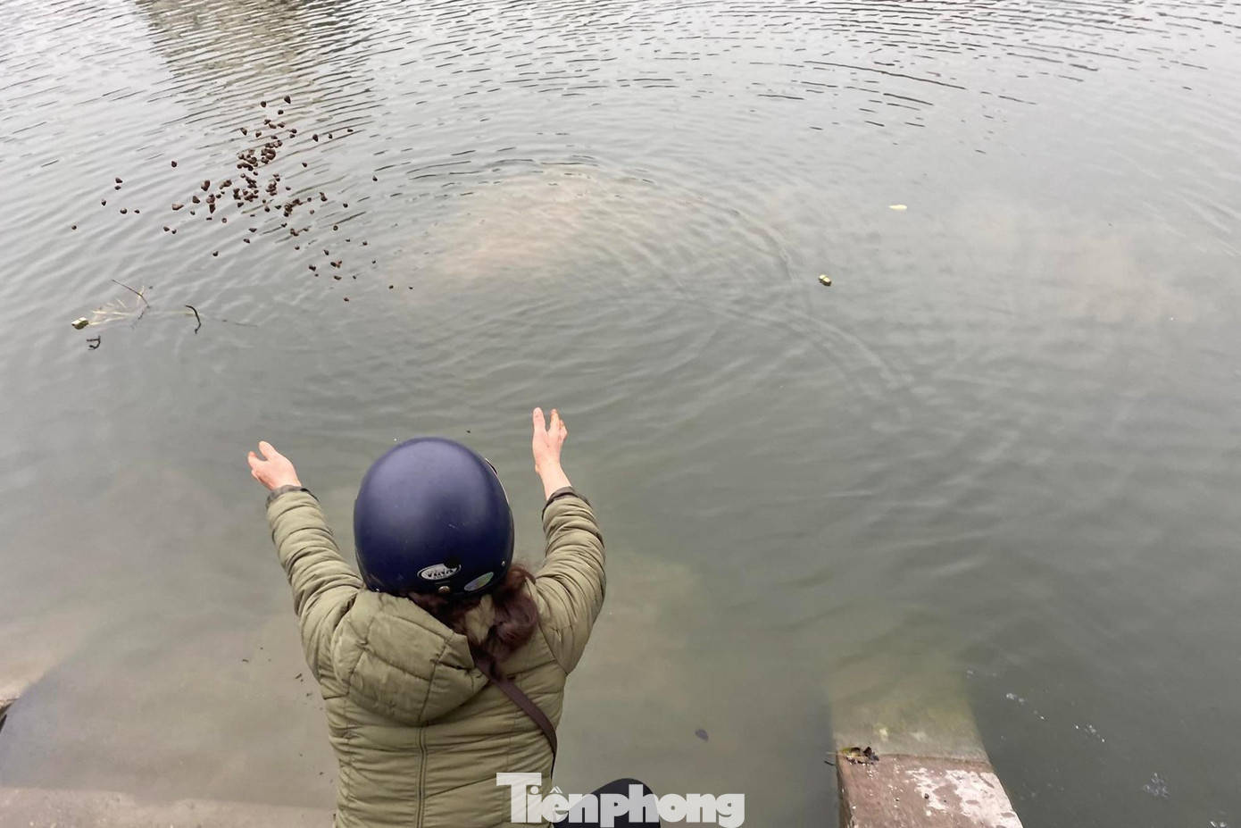 Một người dân vứt vỏ ốc xuống hồ.