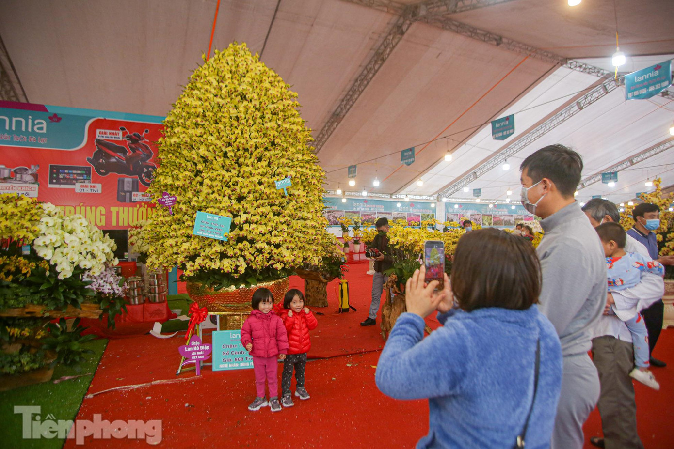 Chậu lan tiền tỷ thu hút nhiều người tiêu dùng đến xem.
