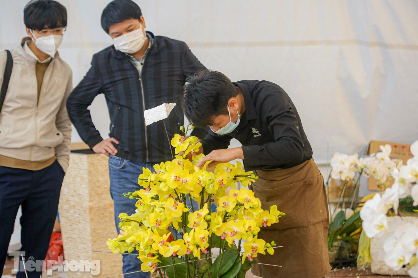 Ngoài những sản phẩm bày bán, người tiêu dùng có thể đặt chậu lan cắm theo yêu cầu của khách hàng.