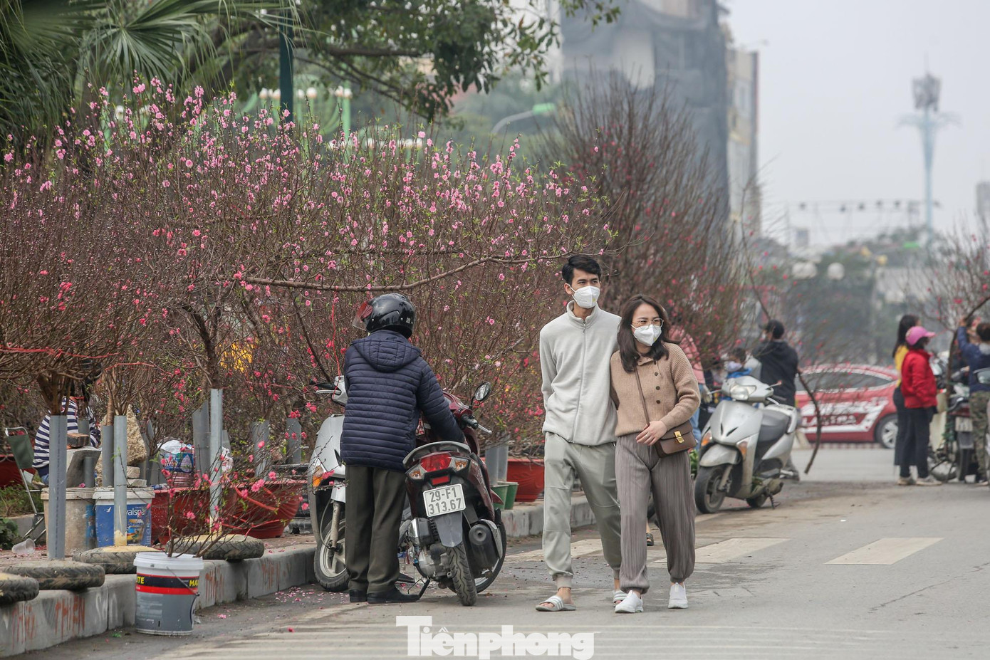 Ngập tràn hoa đào Ngập tràn hoa đào
