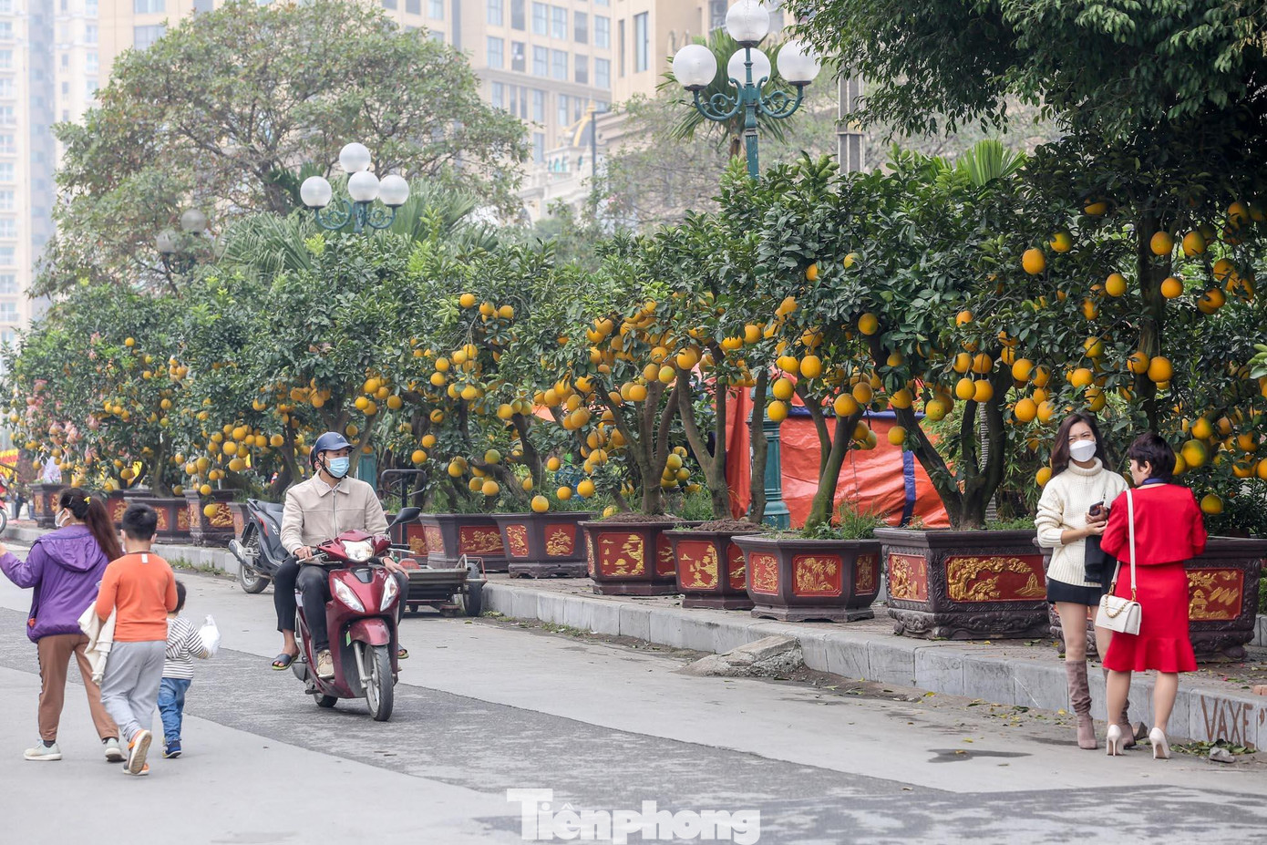 Tập trung và nhộn nhịp nhất là khu vực vườn hoa Lạc Long Quân với hàng chục điểm bán. Tập trung và nhộn nhịp nhất là khu vực vườn hoa Lạc Long Quân với hàng chục điểm bán.