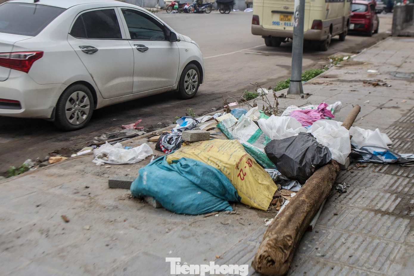 Khu vực hố trồng cây chưa được sử dụng thành nơi đổ rác. Khu vực hố trồng cây chưa được sử dụng thành nơi đổ rác.