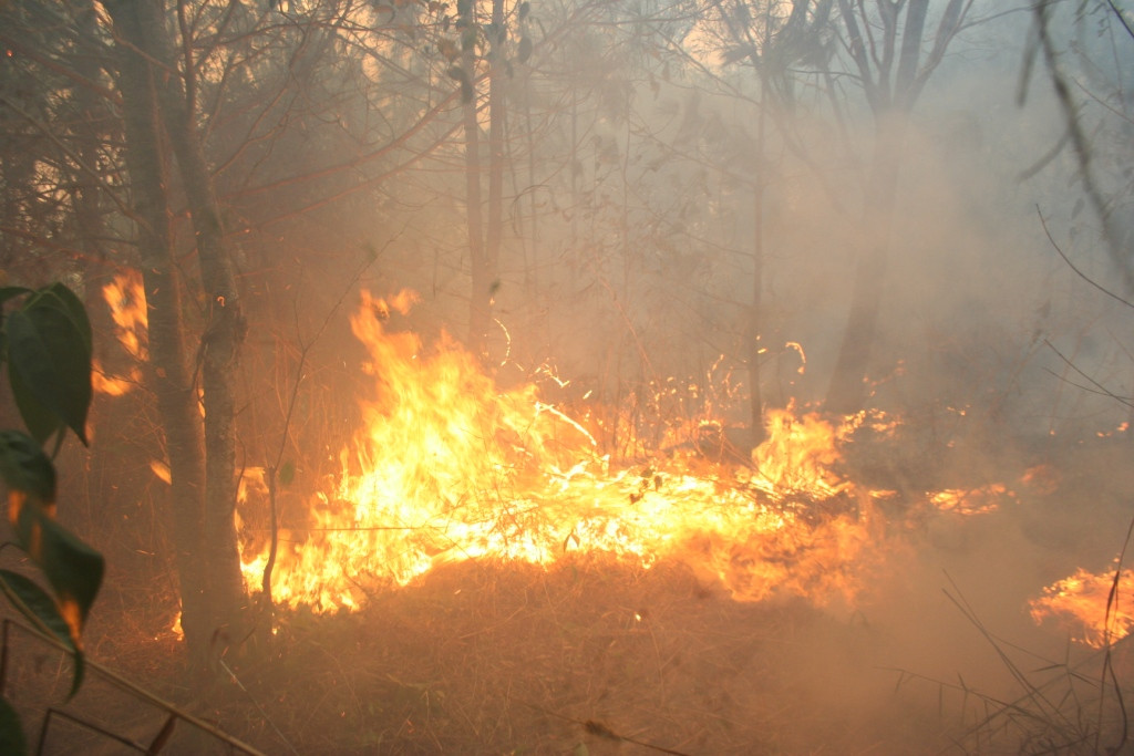 Vụ cháy rừng phòng hộ Bắc Hà