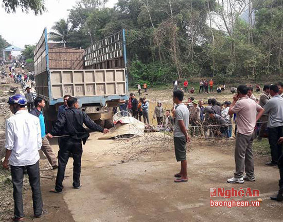 BẢN TIN ATGT: Nữ nhân viên ngân hàng bị xe bồn cán tử vong ảnh 3