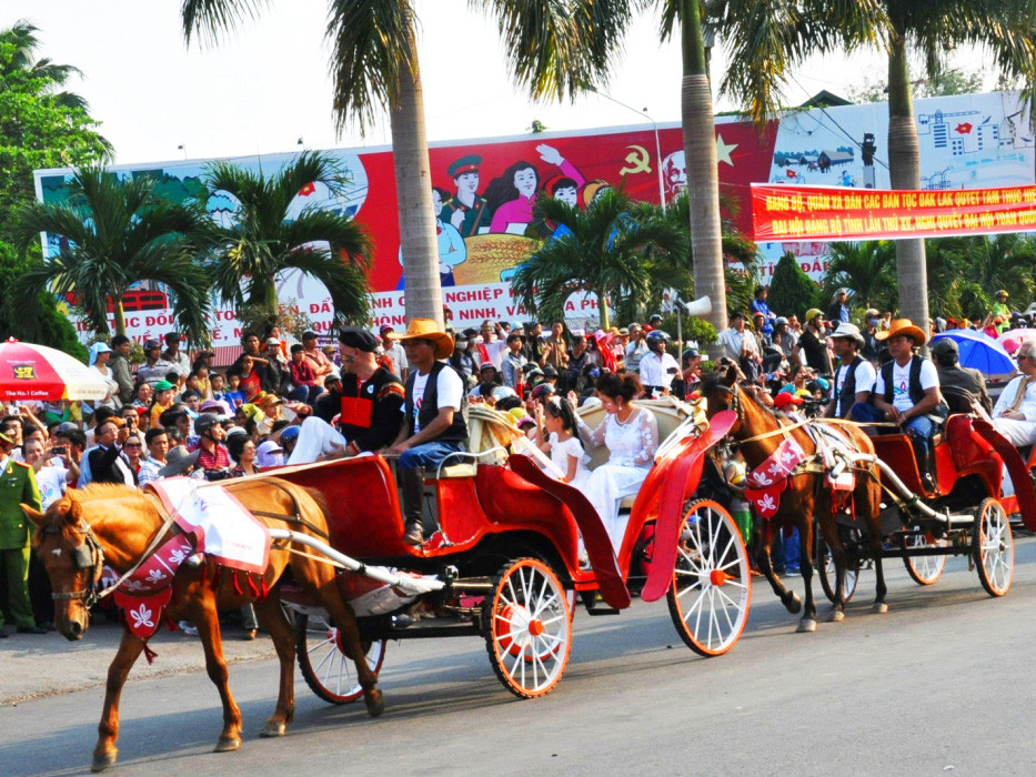Các đại sứ cà phê ngắm phố trên xe ngựa. Các đại sứ cà phê ngắm phố trên xe ngựa