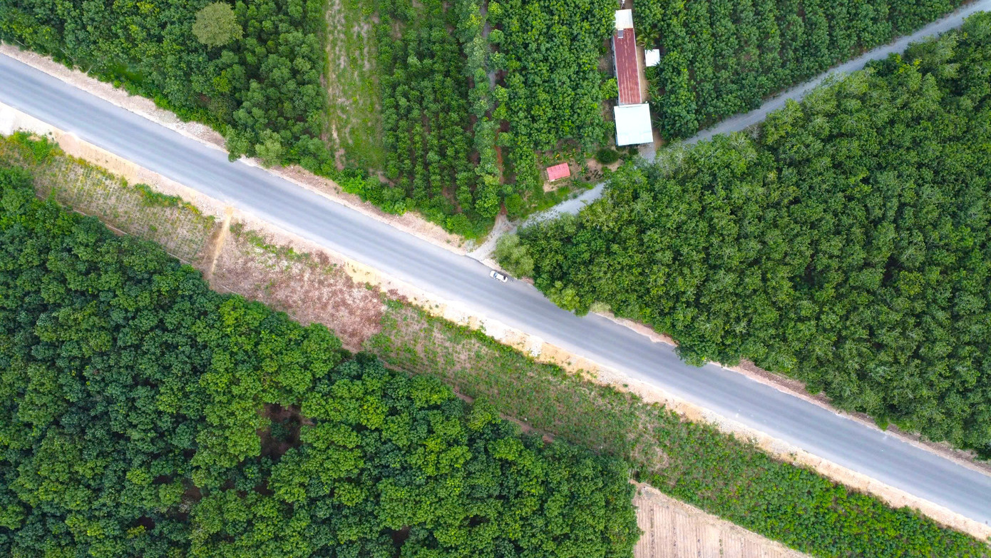 Đường được xây dựng theo tiêu chuẩn kỹ thuật tương đương đường cấp III đồng bằng, giai đoạn đầu quy mô 2 làn, rộng 12m; giai đoạn hoàn chỉnh quy mô đường cao tốc 6 làn xe.