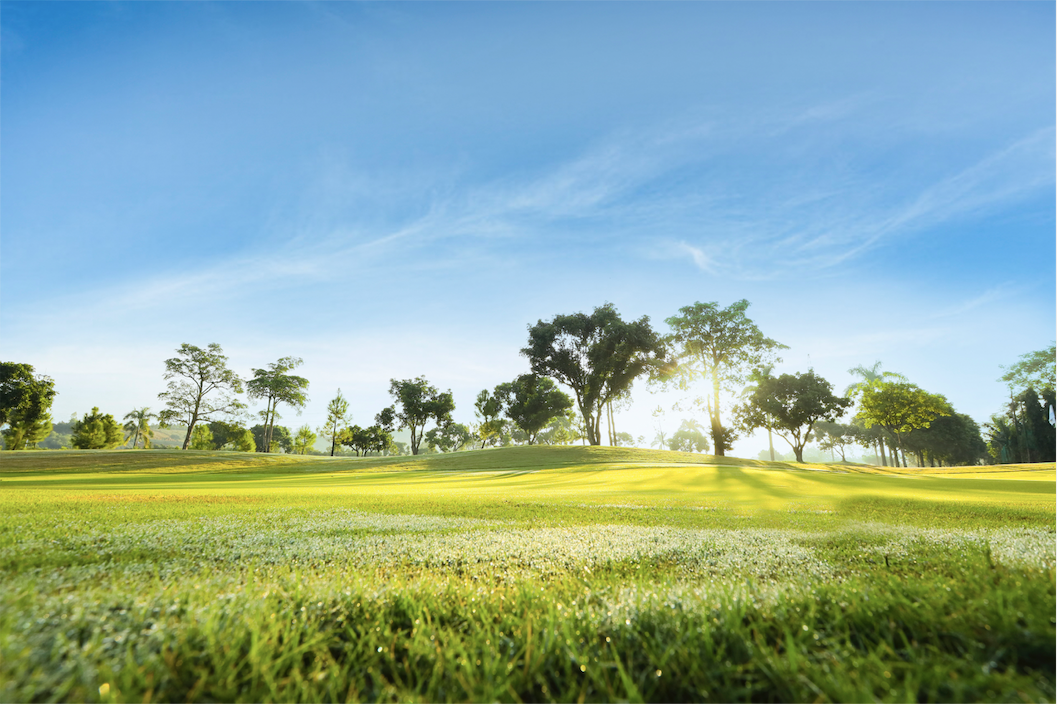 Tràng An Golf & Resort là địa điểm tổ chức hai giải đấu thuộc hai hệ thống thi đấu chuyên nghiệp lớn nhất Thái Lan (All Thailand Golf Tour và Thai LPGA Tour). Tràng An Golf & Resort là địa điểm tổ chức hai giải đấu thuộc hai hệ thống thi đấu chuyên nghiệp lớn nhất Thái Lan (All Thailand Golf Tour và Thai LPGA Tour).