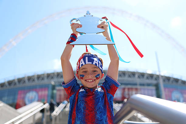 Đánh bại Man City, Crystal Palace vô địch FA Cup ảnh 3