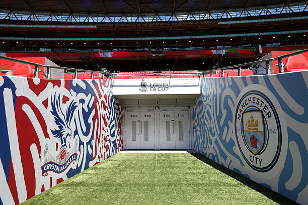 Đánh bại Man City, Crystal Palace vô địch FA Cup ảnh 12