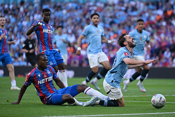 Đánh bại Man City, Crystal Palace vô địch FA Cup ảnh 34